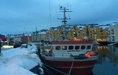ノルウェー漁港町Alesund風景